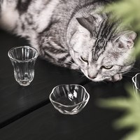 Noa 清玉玻璃茶具